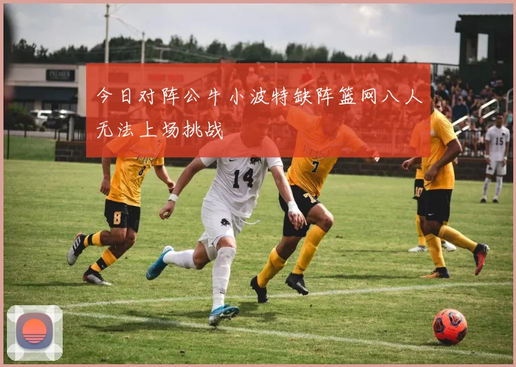 今日对阵公牛小波特缺阵篮网八人无法上场挑战