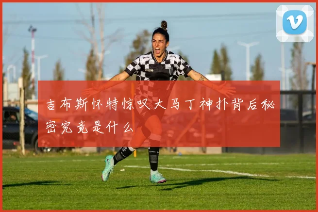 吉布斯怀特惊叹大马丁神扑背后秘密究竟是什么